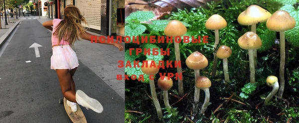 хмурый Алексин