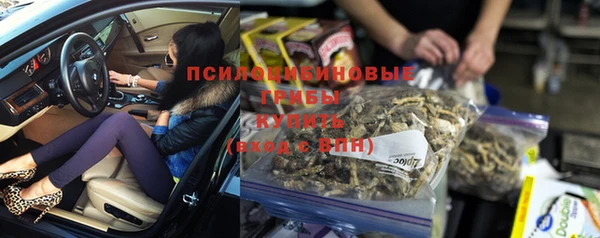 хмурый Алексин